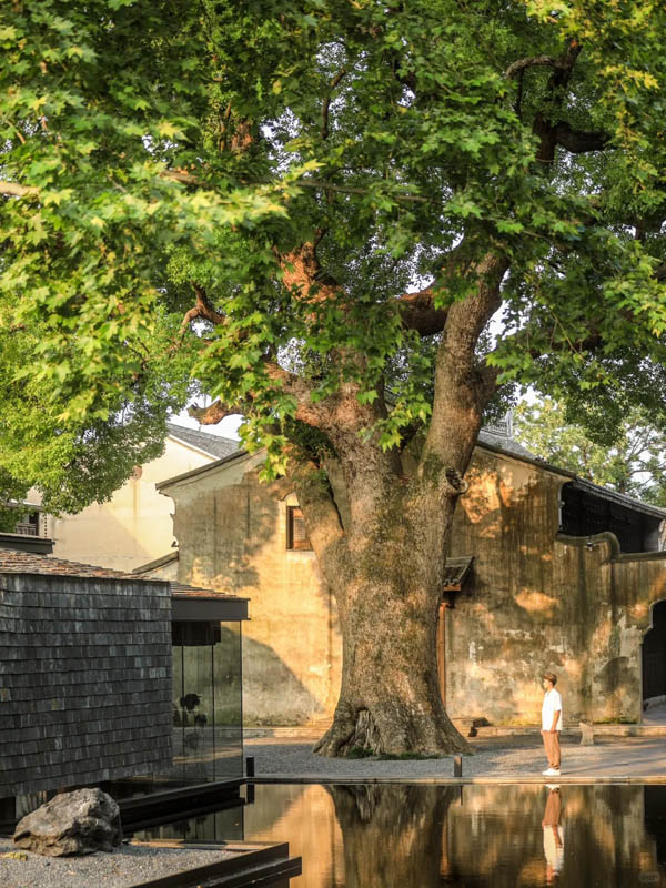 台州临海府城印酒店测评体验报告:古城墙下的古樟老宅 台州临海府城印酒店测评体验报告:古城墙下的古樟老宅