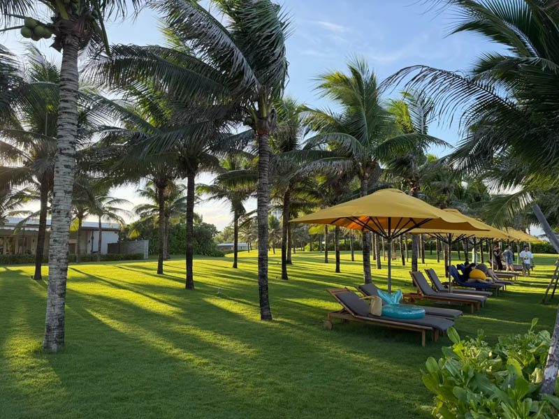 越南芽庄金兰威斯汀水疗度假村入住体验评测：干净的果冻海沙滩、舒适的天梦之床